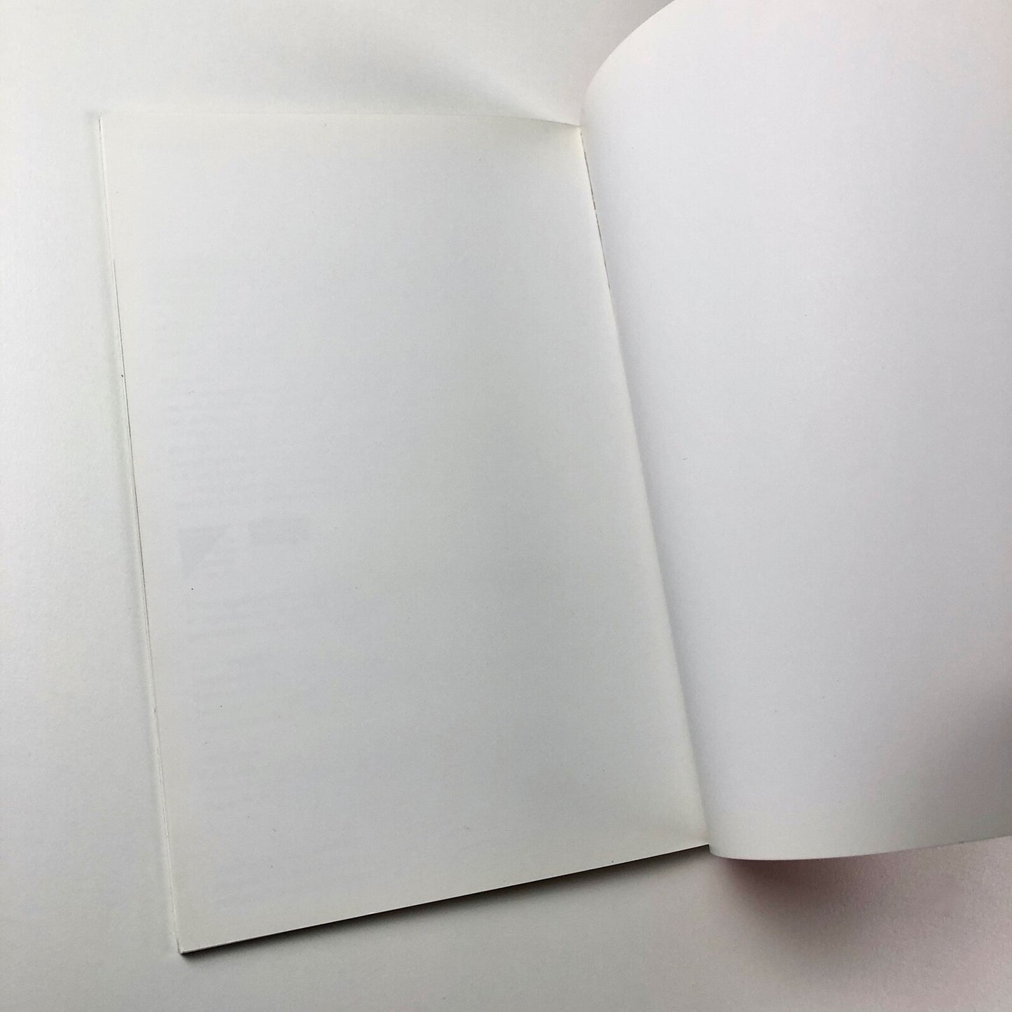 Public Art Development Trust. Heathrow Project. Documentary Notes 1998