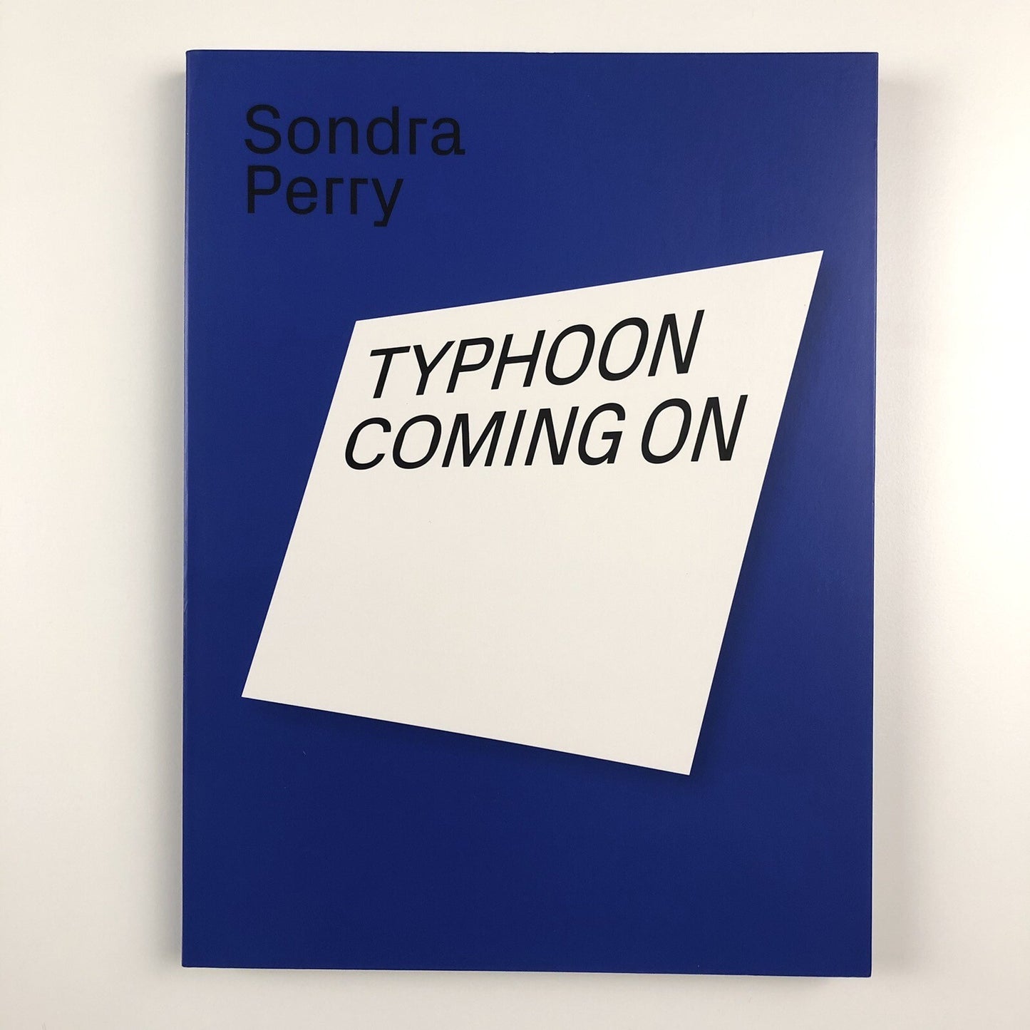 Sondra Perry. Typhoon Coming On | Serpentine Galleries exhibition catalogue, 2018