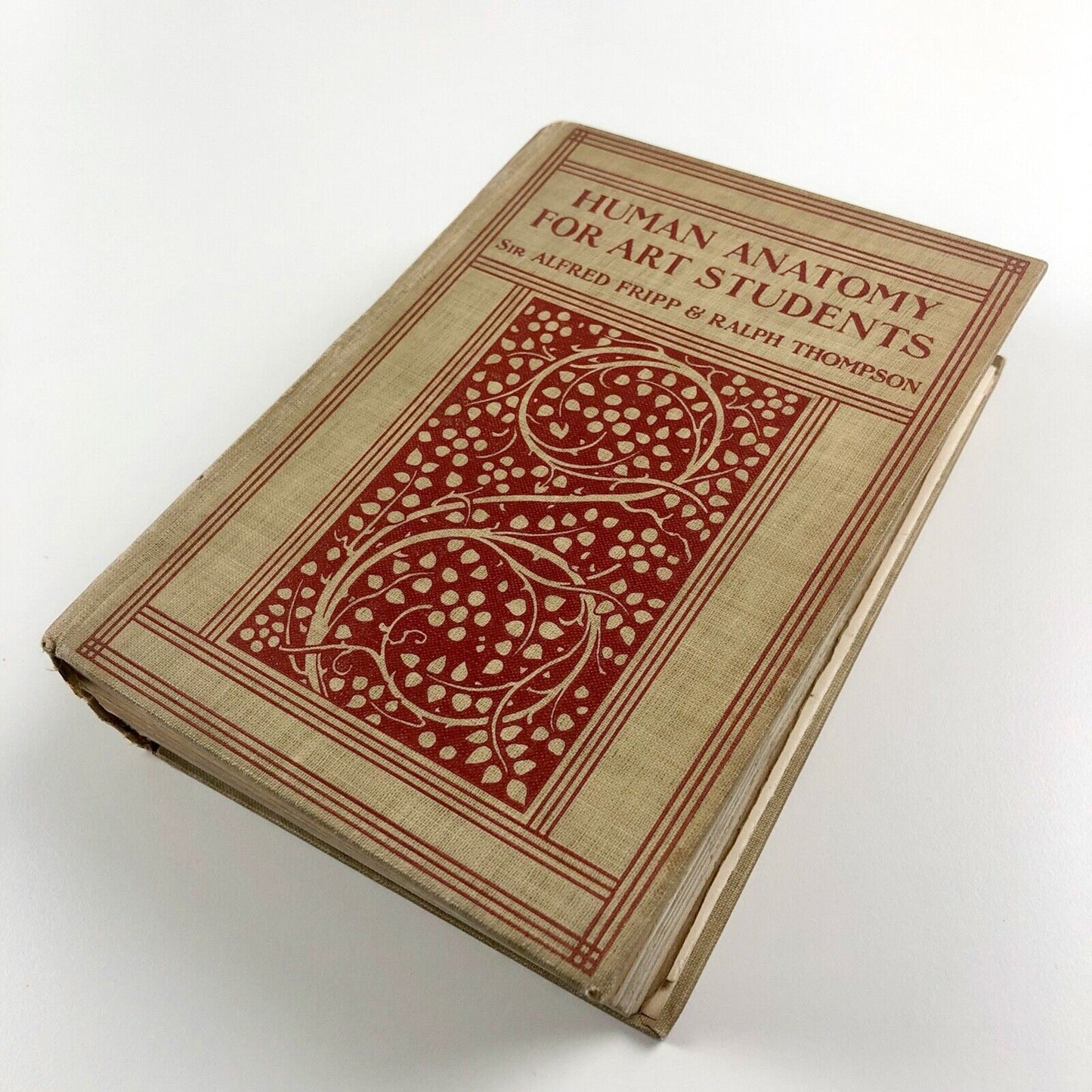 Human Anatomy for Art Students by Sir Alfred Fripp and Ralph Thompson 1911