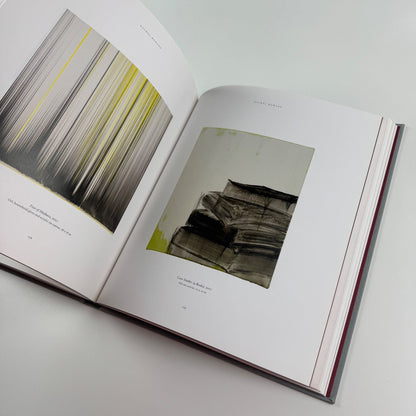 Rachel Howard | Blain Southern, 2011