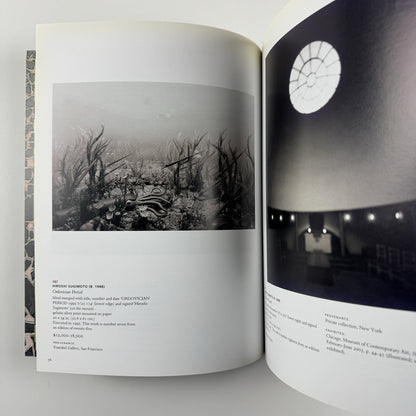 First Open Post-War & Contemporary Art | Christie's New York catalogue, 28 February 2007 1806