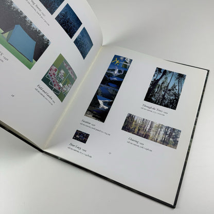 Dan Hays | Entwistle London exhibition catalogue, 2000