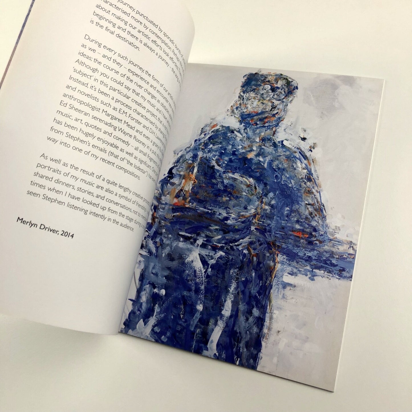 Stephen Finer. Merlyn Driver recording & other paintings | Art Space Gallery catalogue, 2015