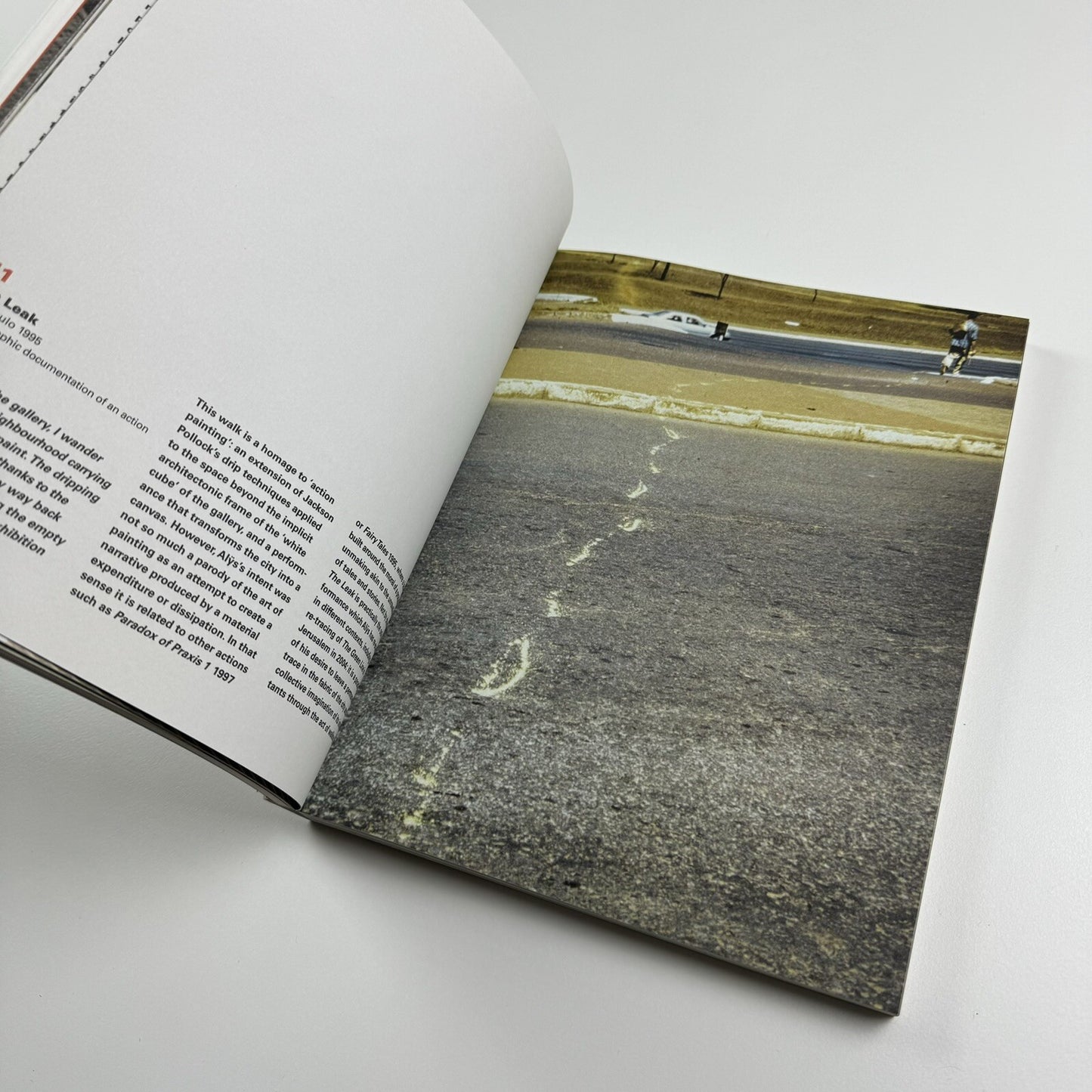 Francis Alÿs: A Story of Deception | Klaus Biesenbach & Mark Godfrey | Tate, 2010