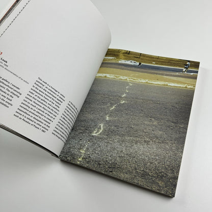 Francis Alÿs: A Story of Deception | Klaus Biesenbach & Mark Godfrey | Tate, 2010
