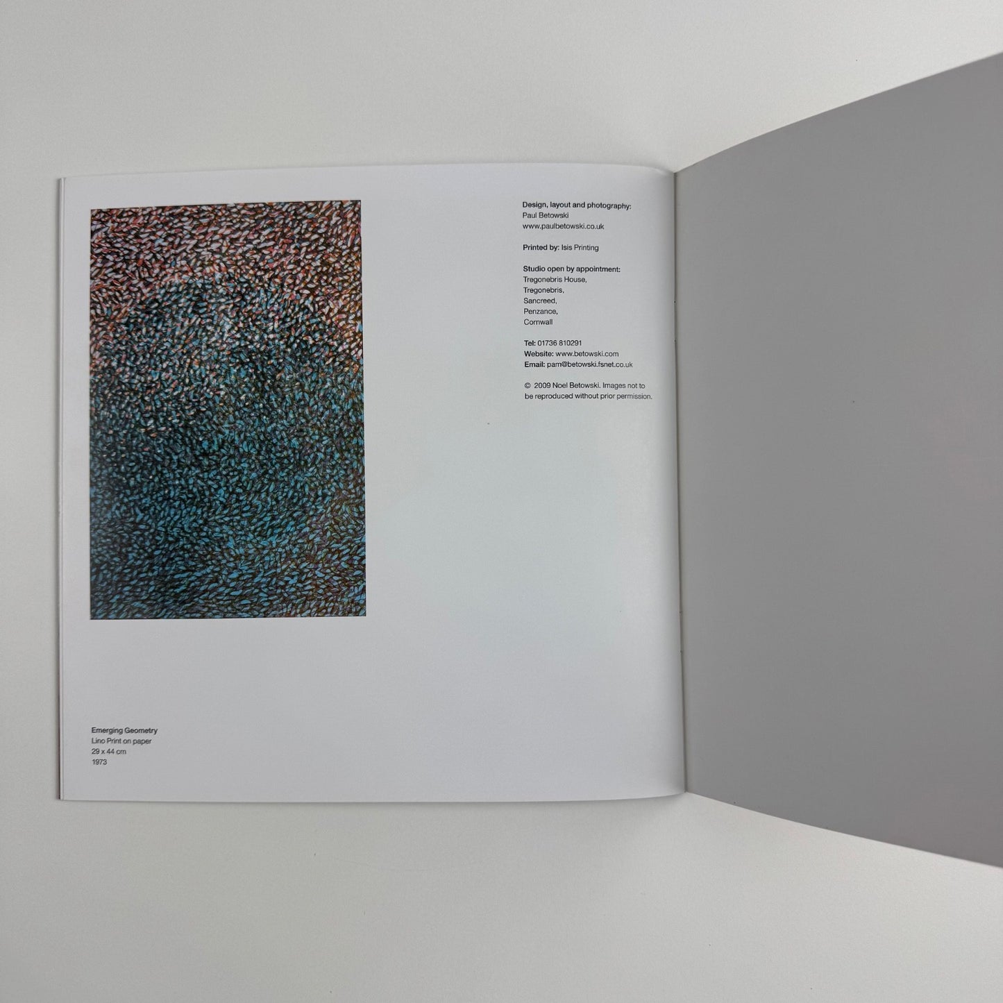 Catalogue for Noel Betowski. Triptych 1973-2009, privately printed, 2009