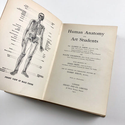 Human Anatomy for Art Students by Sir Alfred Fripp and Ralph Thompson 1911