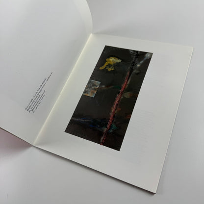 Terry Atkinson. The Goya Series | Gimpel Fils, London, 1987