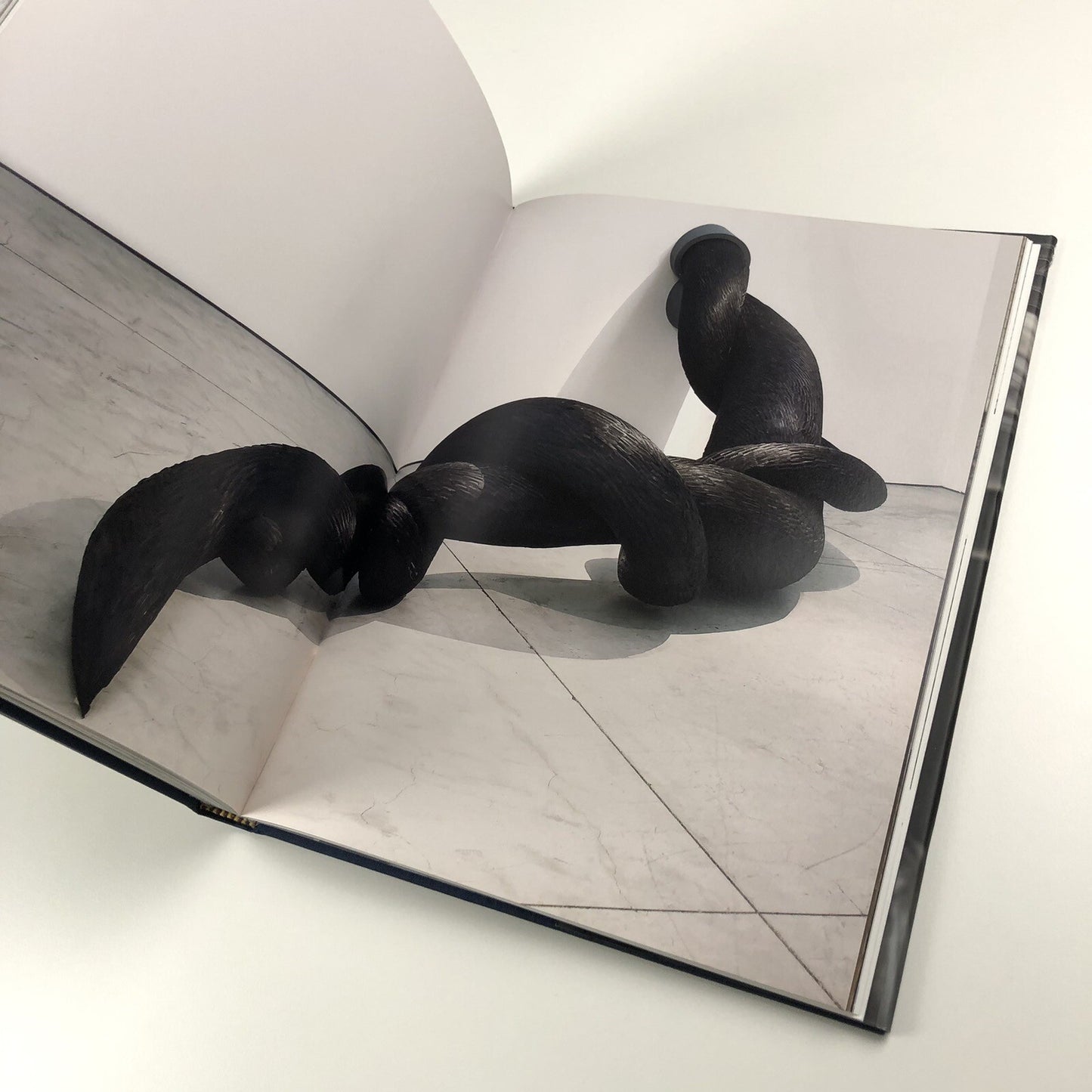 Kate MccGwire | Edited by Mark Sanders | Anomie Publishing, 2021