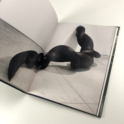 Kate MccGwire | Edited by Mark Sanders | Anomie Publishing, 2021