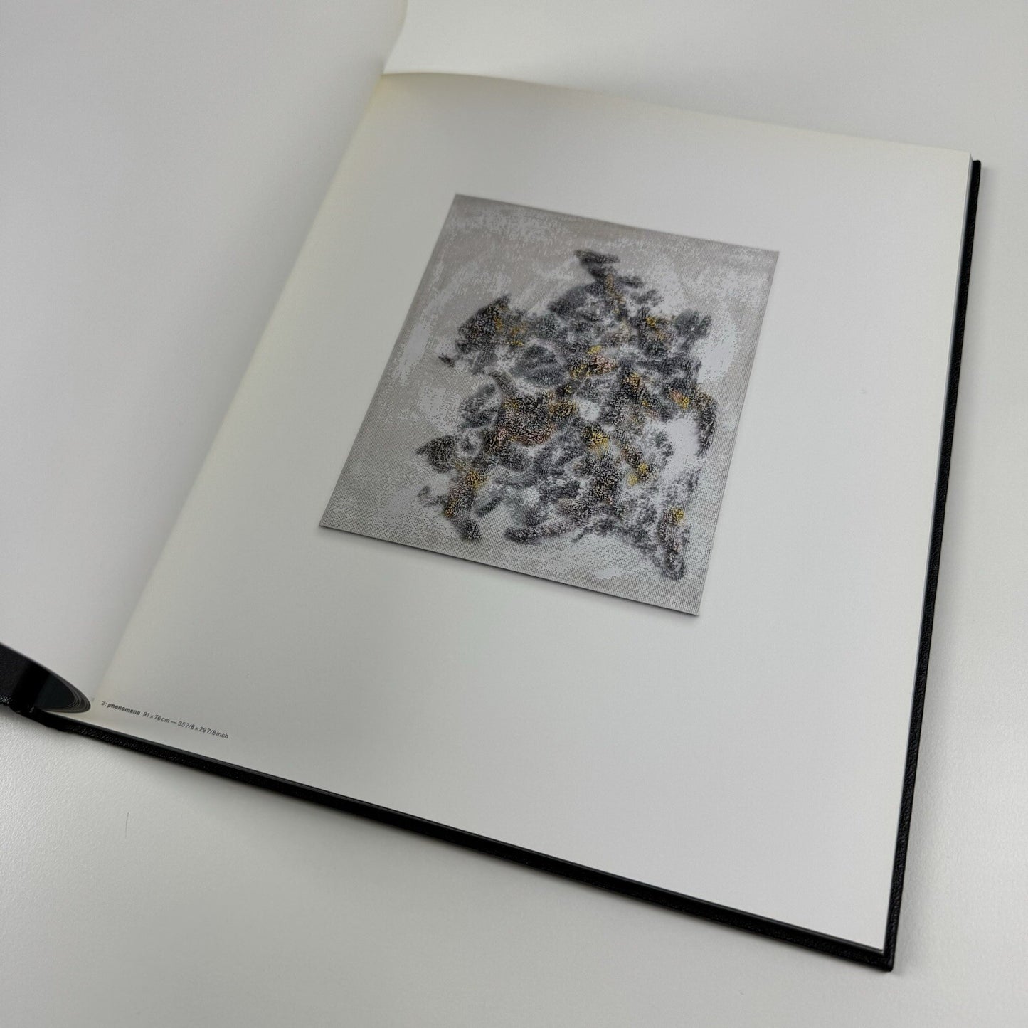 Michael Raedecker – Show | Hauser & Wirth exhibition catalogue, 2005