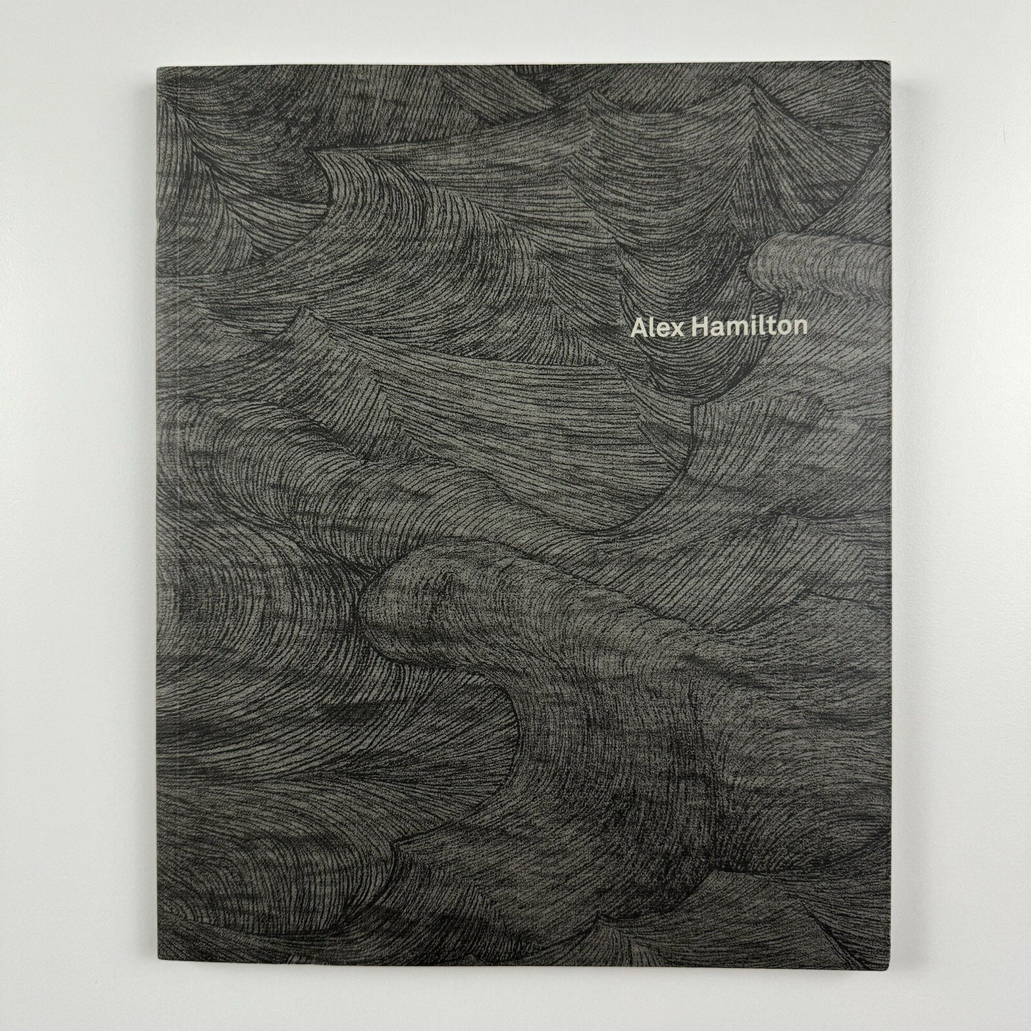 Alex Hamilton. Works 2009 | Patrick Heide Contemporary Art | 2009 exhibition catalogue