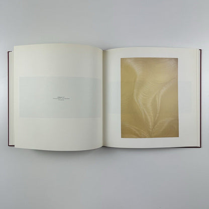 Jason Martin - Nomad | Es Baluard Museu d'Art Modern Contemporani de Palma, 2008