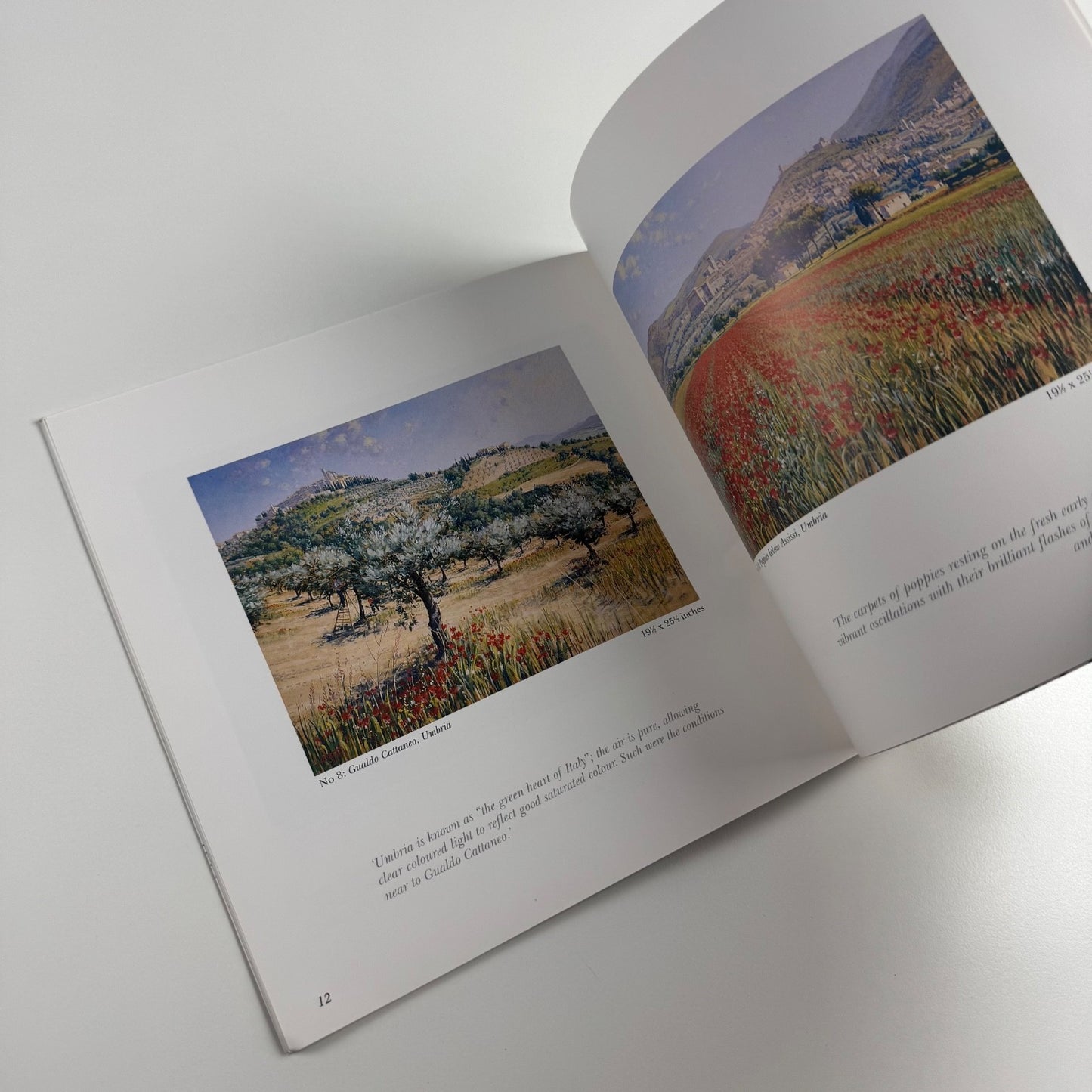 At Home and Abroad. The Pastel Landscapes of Lionel Aggett | John Davies Gallery, 1996