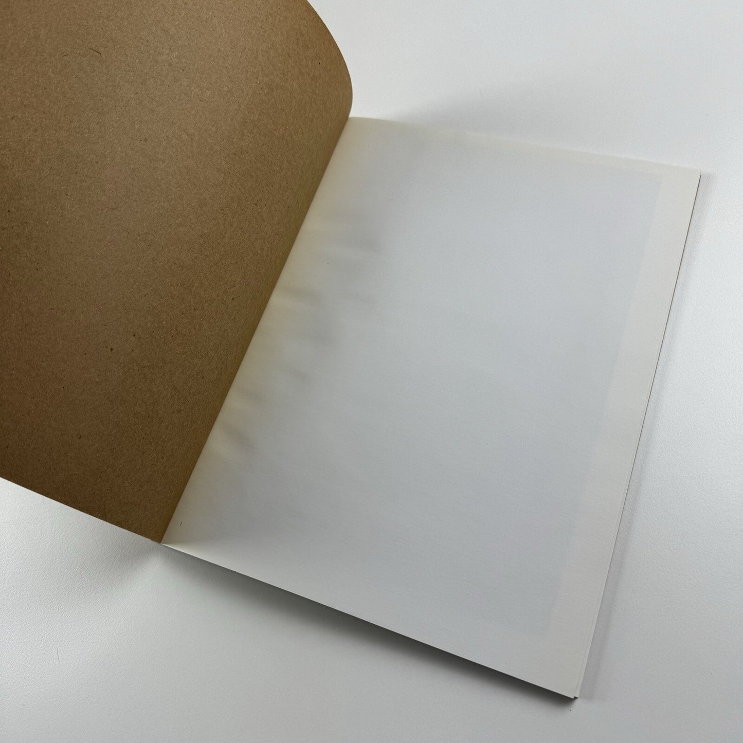 Francesca DiMattio | Salon 94, New York 2009 exhibition catalogue