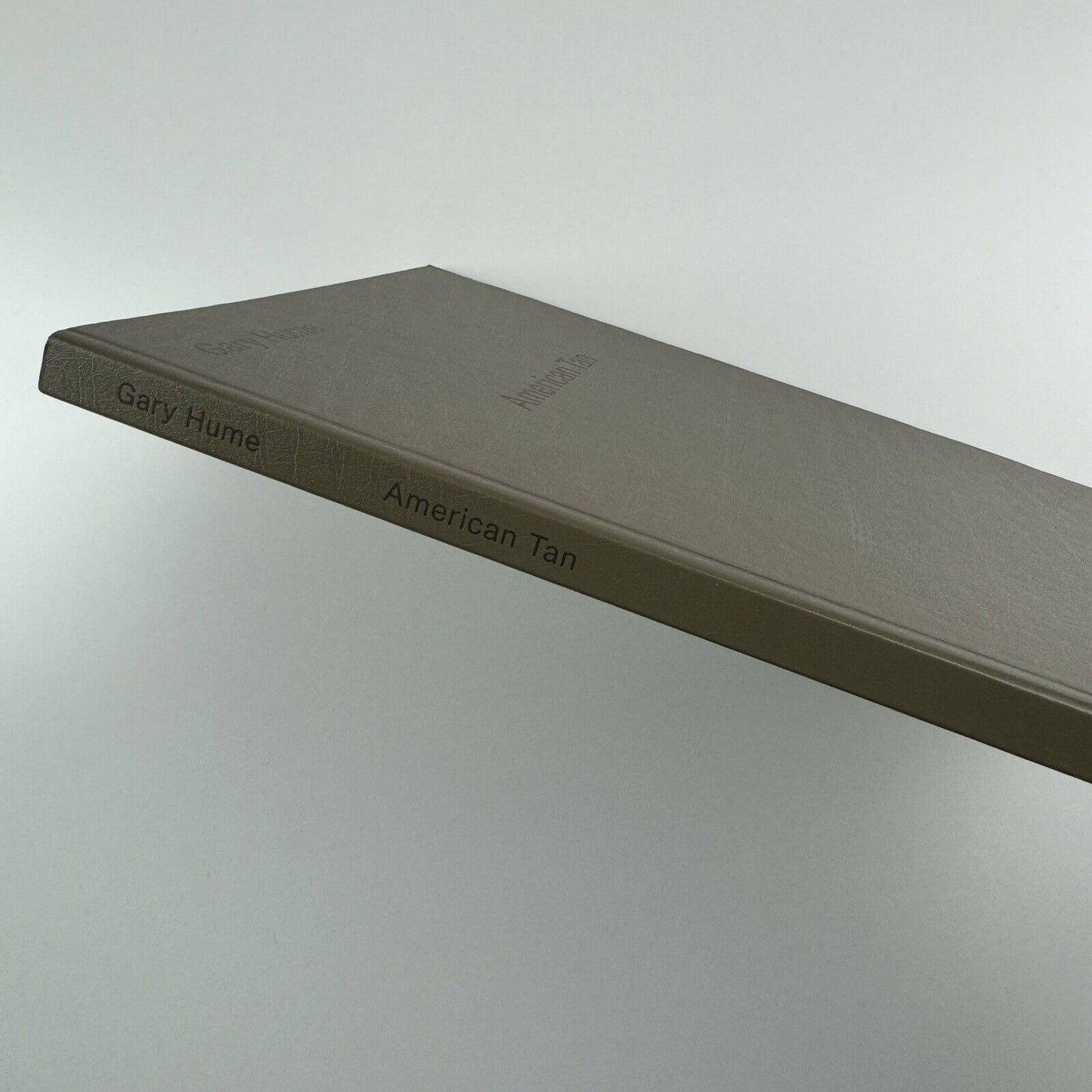 Gary Hume. American Tan | White Cube, London, 2007