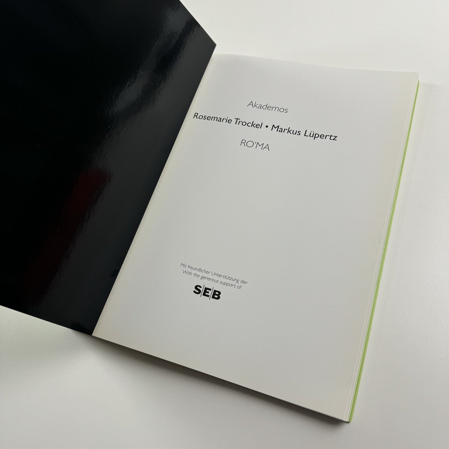 RO'MA - Rosemarie Trockel and Markus Lüpertz, 2006 Akademos exhibition catalogue