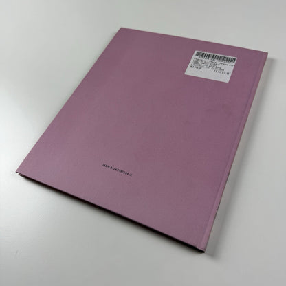 Magnus von Plessen | New Modern Art Museum Lucerne, 2001 exhibition catalogue