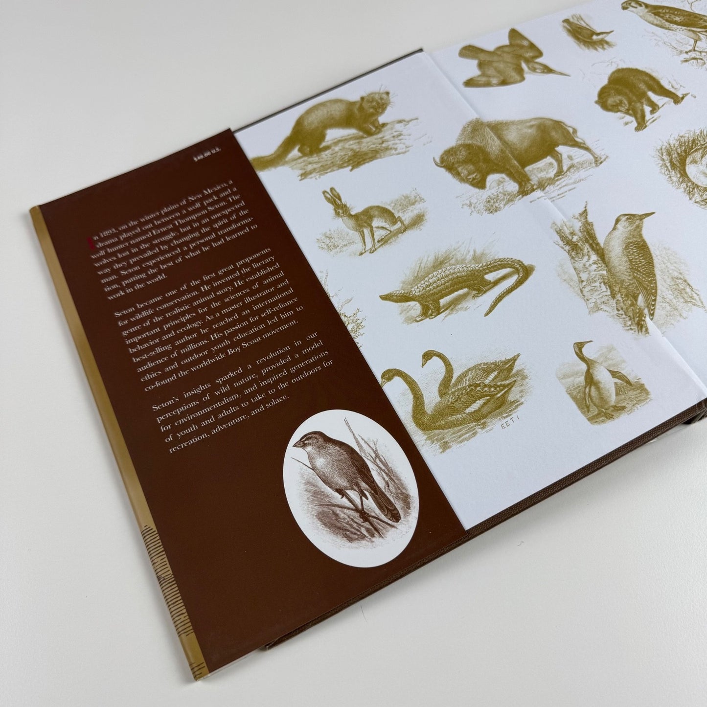 Ernest Thompson Seton: The Life and Legacy of an Artist and Conservationist by David L. Witt | Gibbs M. Smith, 2010