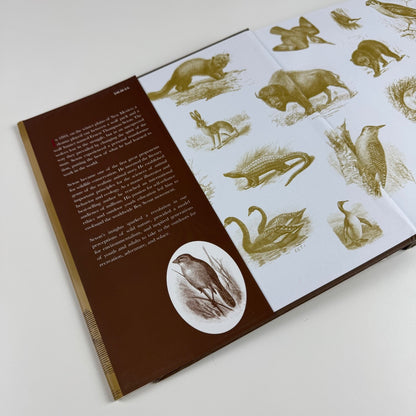 Ernest Thompson Seton: The Life and Legacy of an Artist and Conservationist by David L. Witt | Gibbs M. Smith, 2010