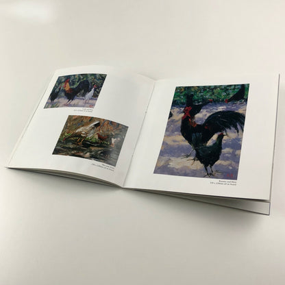 Robert Jones – Sun, Wind and Weather | Foreword by Frances Hewlett, 2002