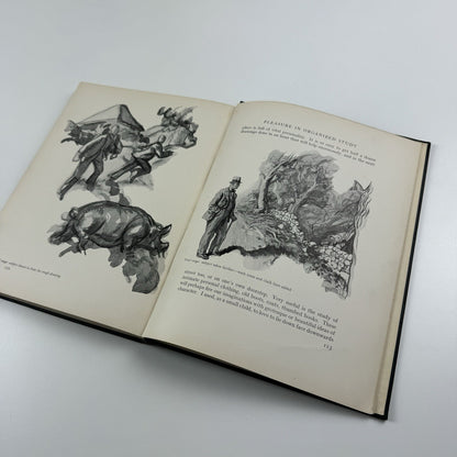 Illustration its practice in wash and line by Steven Spurrier | Isaac Pitman 1933