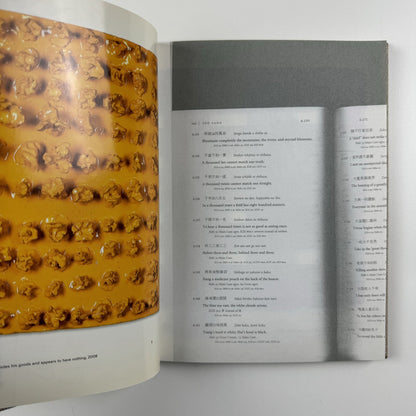 Mai-Thu Perret: 2012 | Timothy Taylor Gallery, London 2008 catalogue