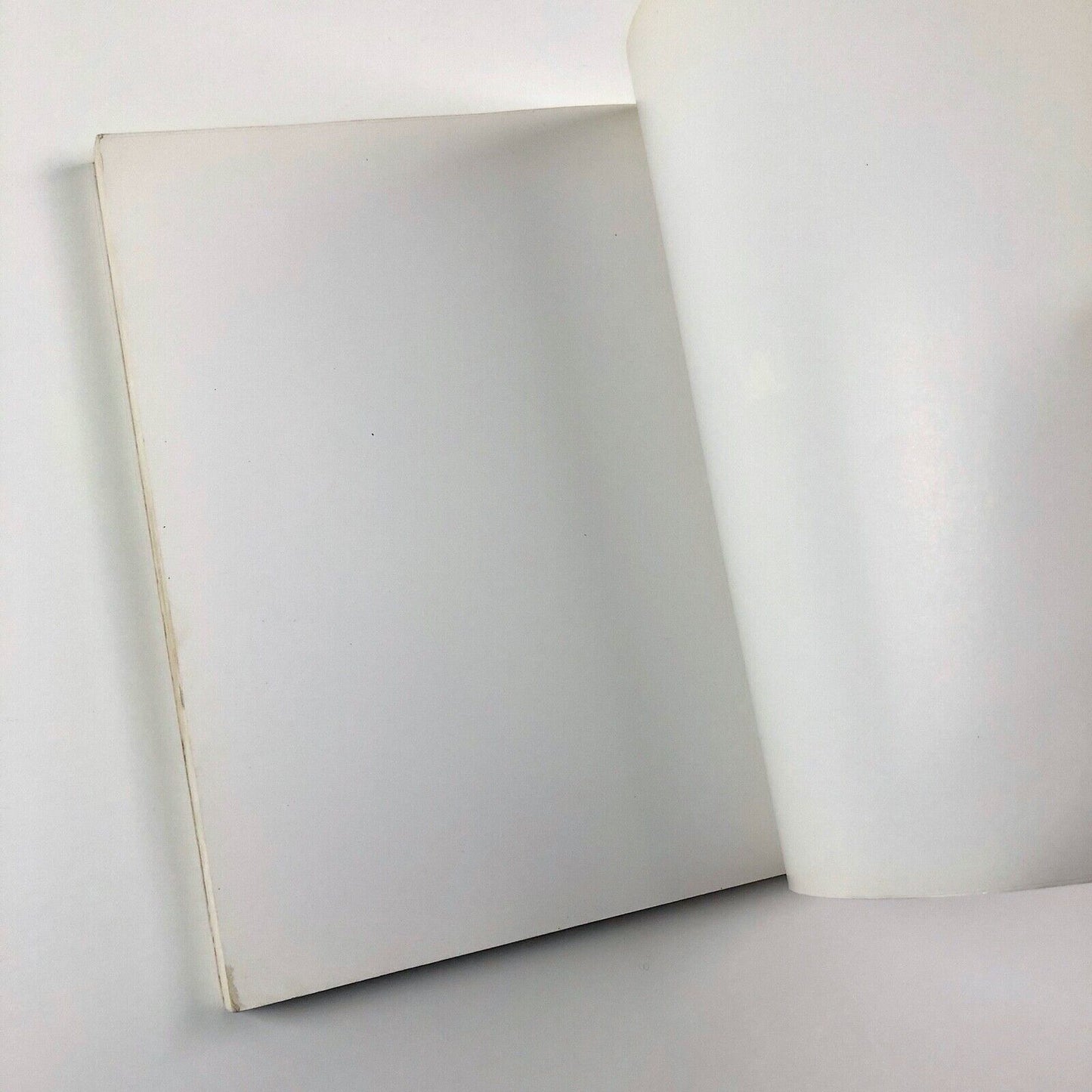 Pop Art: USA–UK | 1987 travelling Japanese exhibition | Lawrence Alloway