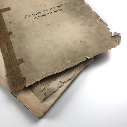 The House of C & E Layton type specimen book | Undated