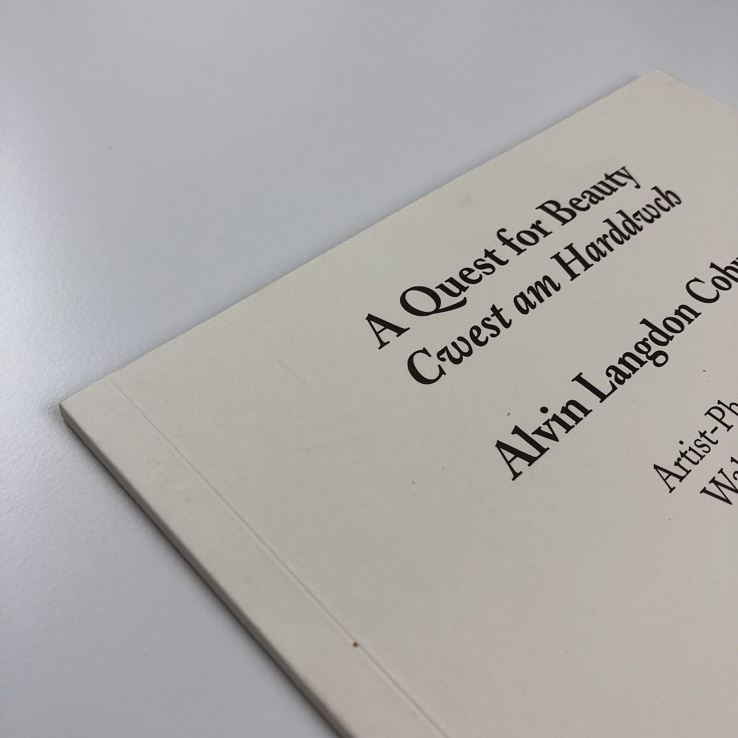 A Quest for Beauty | Alvin Langdon Coburn: Artist-Photographer | David Bellman, 1994