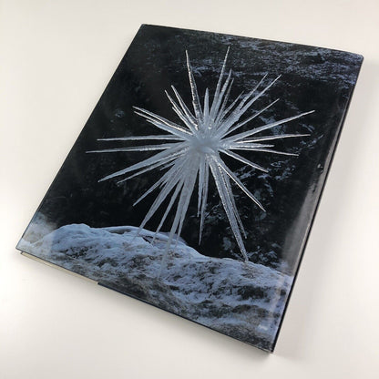 Andy Goldsworthy | Zweitausendeins, 2000
