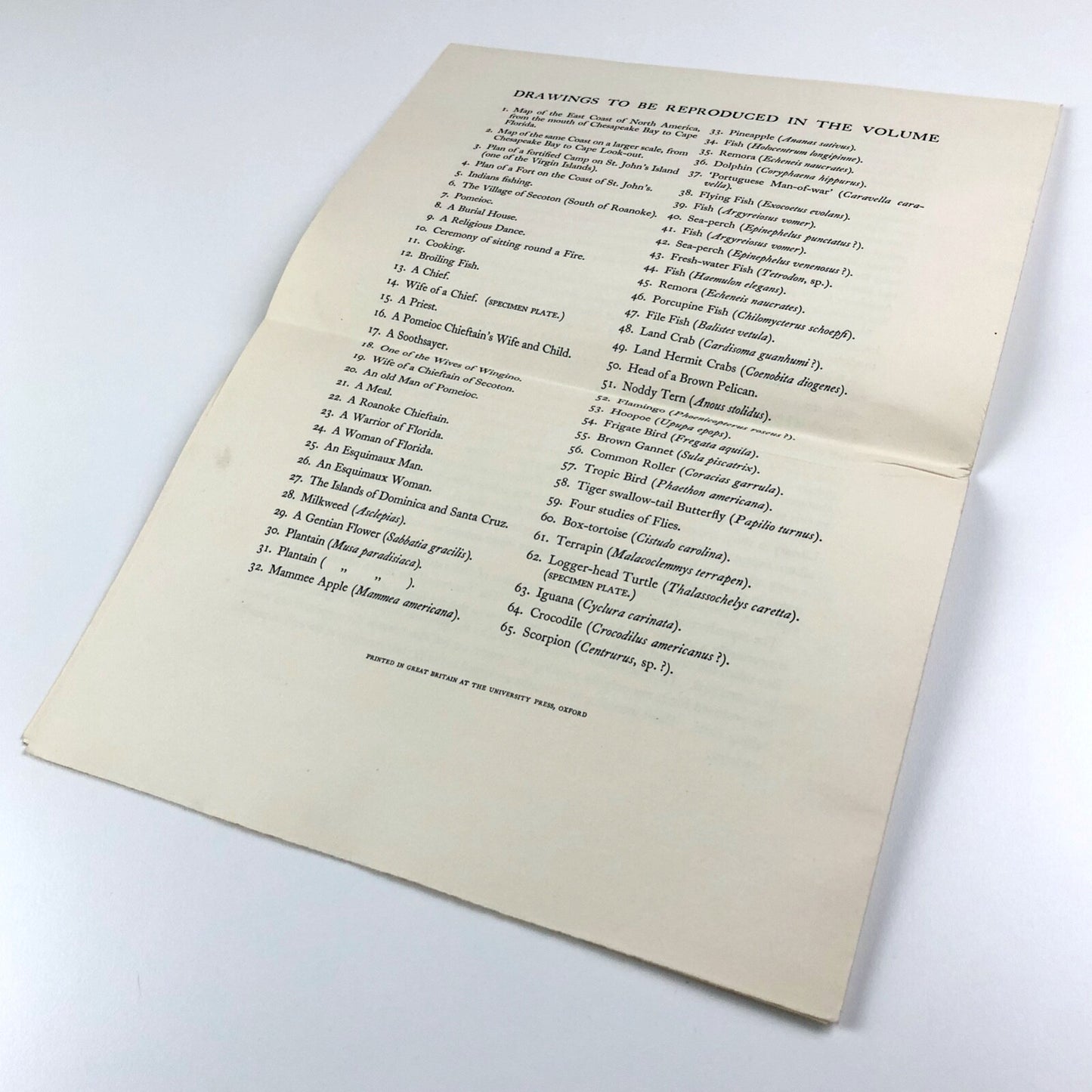 Prospectus for John White’s Drawings of Virginia A.M. Hind British Museum 1938