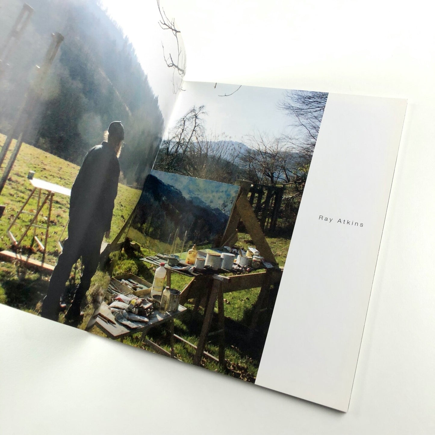 Ray Atkins. A Long View. From Bromley, Reading, Cornwall to the Pyrenees | Art Space Gallery, 2011