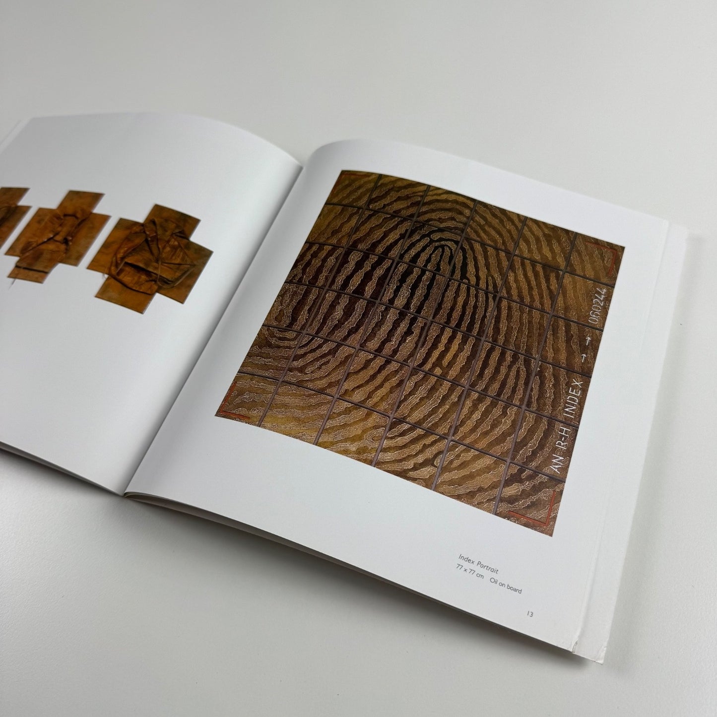 Anton Nickson | Lemon Street Gallery 2007