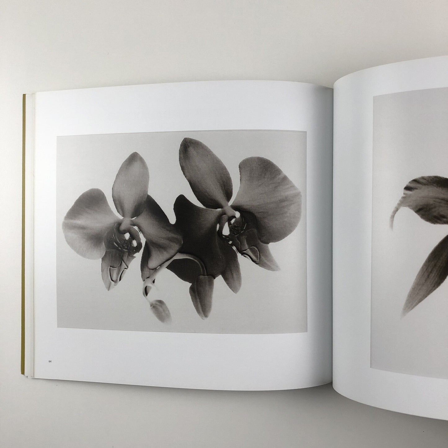 The Moon and a Smile | Glynn Vivian Art Gallery exhibition catalogue, 2017