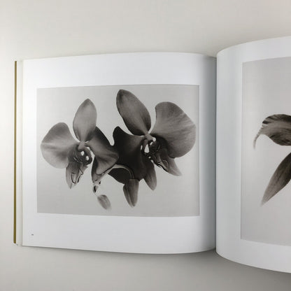 The Moon and a Smile | Glynn Vivian Art Gallery exhibition catalogue, 2017