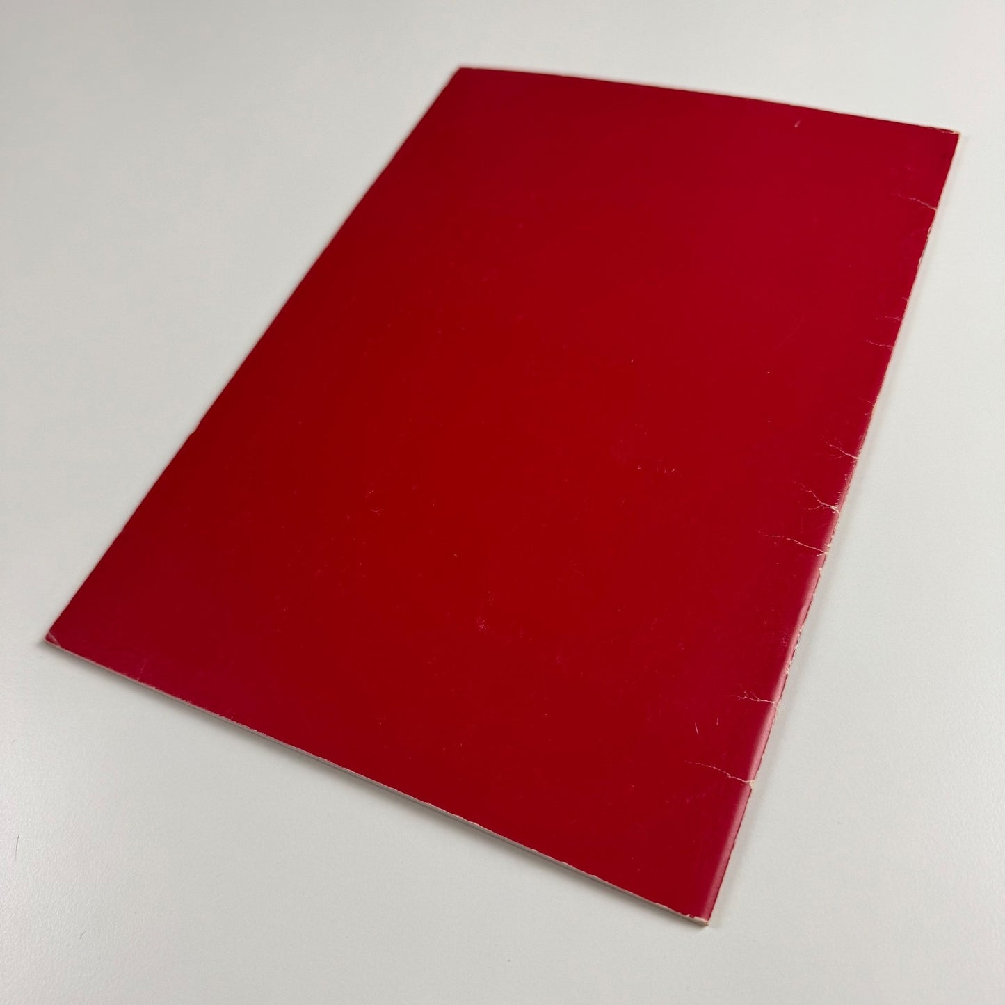 Katharina Fritsch text by Stuart Brisley | Kunsthalle Basel and Institute of Contemporary Arts, 1988