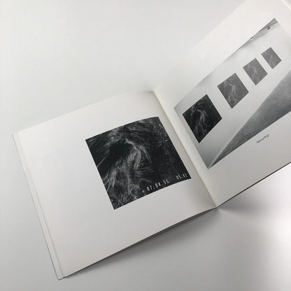 Andrea Fisher – Gimpel Fils exhibition catalogue, 1994