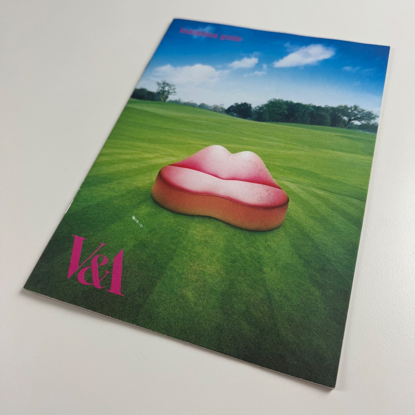 Gallery guide for Surreal Things: Surrealism and Design | V&A, 2007