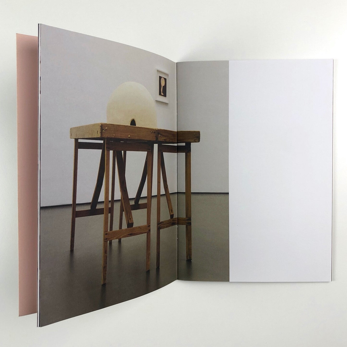 Dependent Rational Animals Roxy Walsh and Sally Underwood | Towner Gallery catalogue, 2013