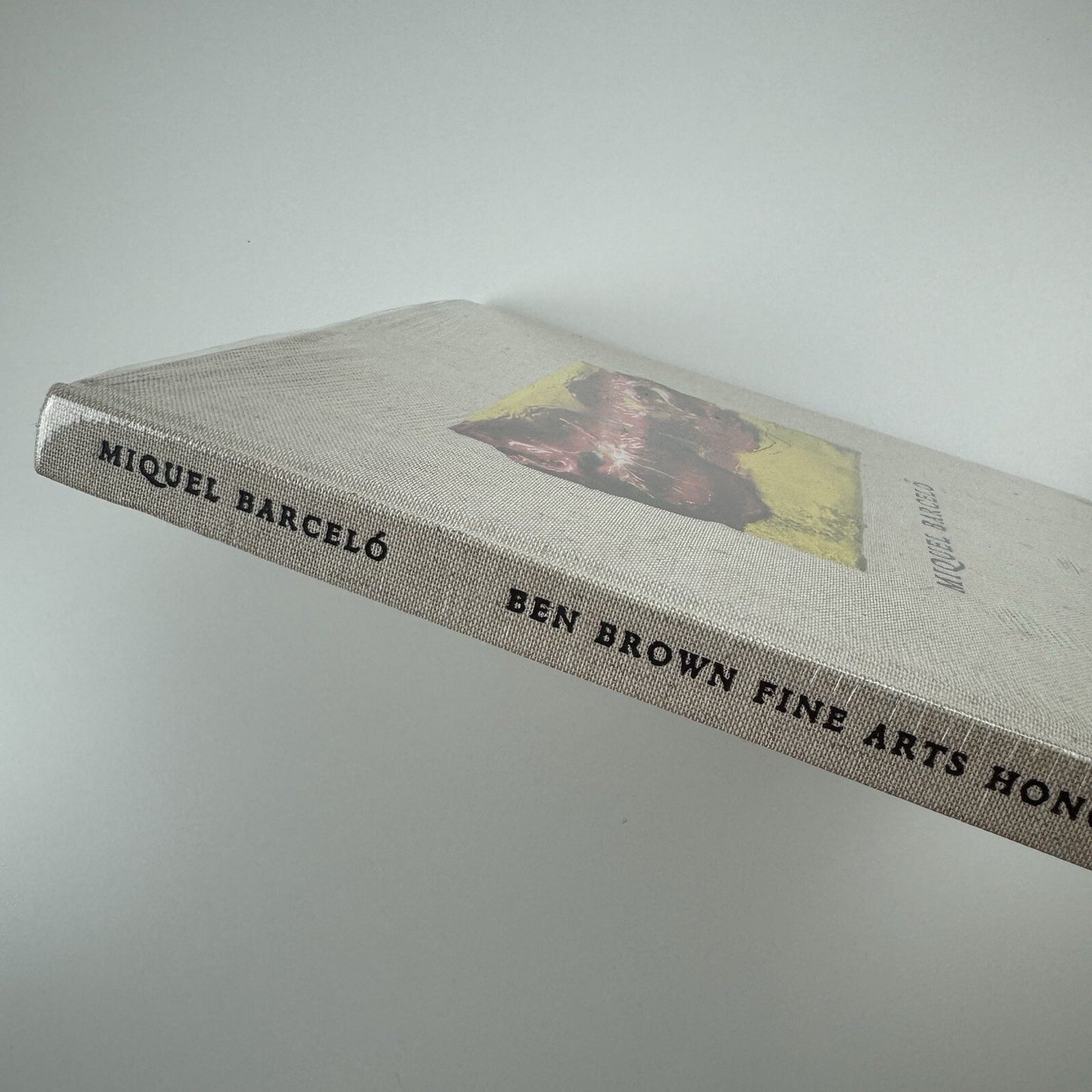 Miquel Barceló. Recent paintings, ceramics and sculpture | Ben Brown Fine Arts Hong Kong catalogue, 2011