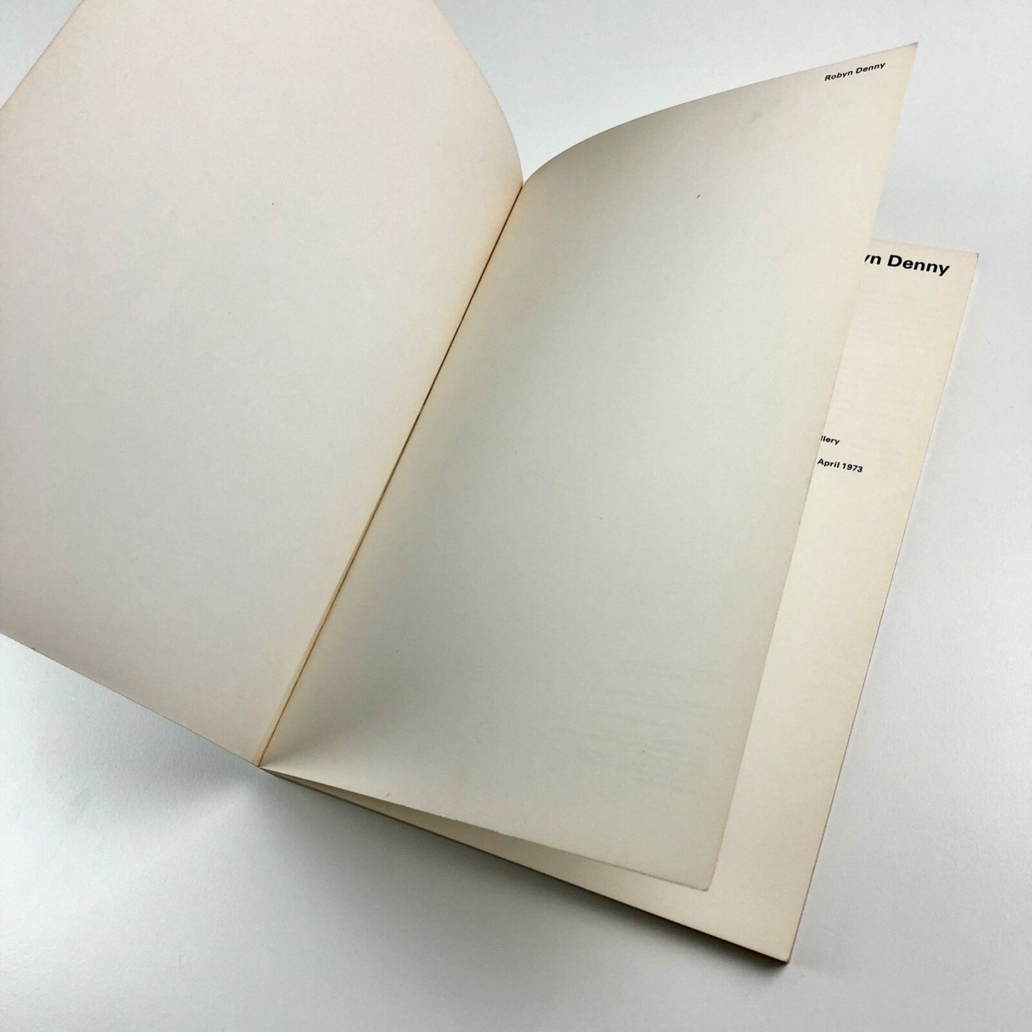 Robyn Denny exhibition catalogue | Tate Gallery March-April 1973