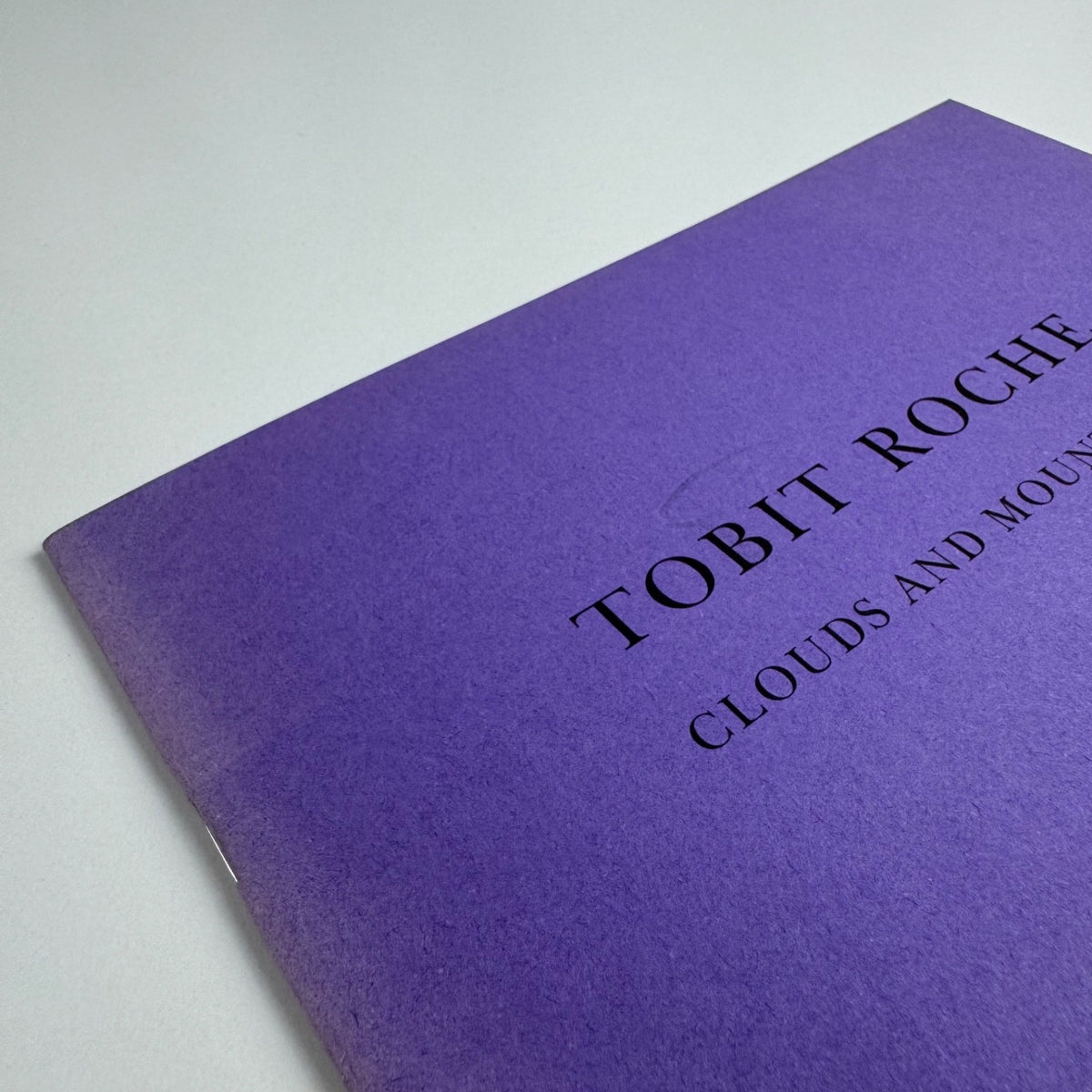 Tobit Roche. Clouds and Mountains Recent Paintings | The Maas Gallery, 2001