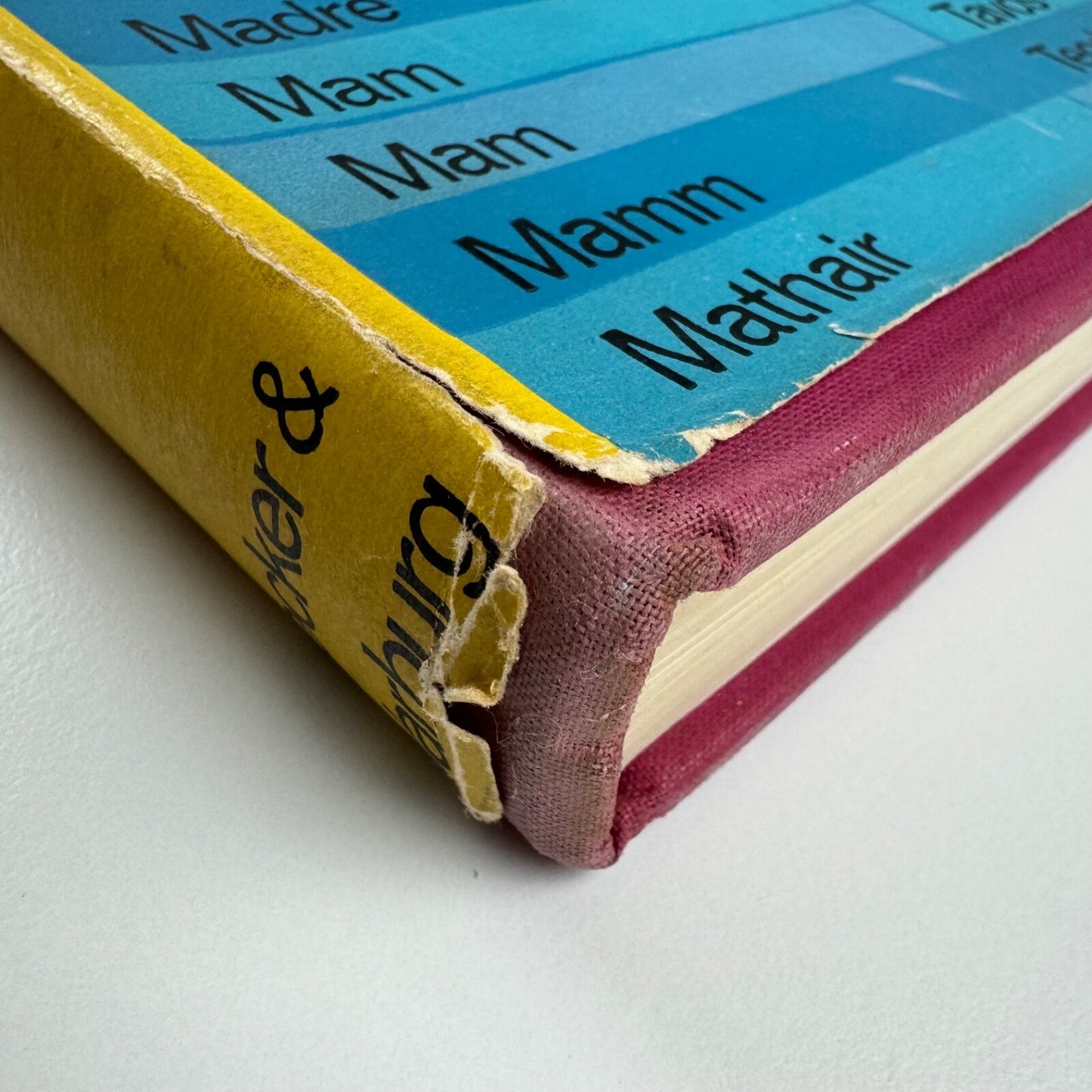The Mother Tongue in quiz and colour by Lancelot Hogben | Secker & Warburg, 1964