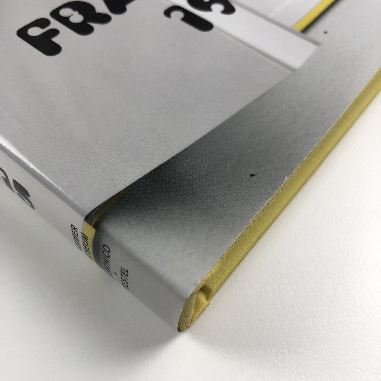 UH-OH Frances Stark 1991-2015 | Hammer Museum Prestel catalogue, 2015