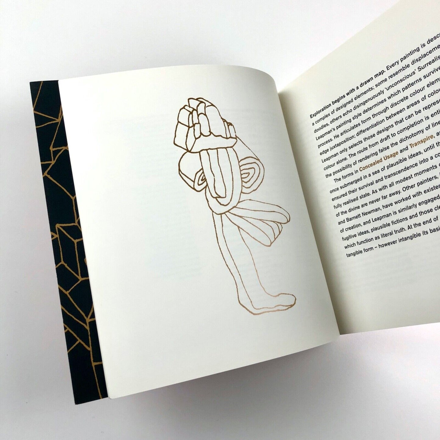 David Leapman. Building Watertight Structures in Volcanic Pools Beaux Arts 2001