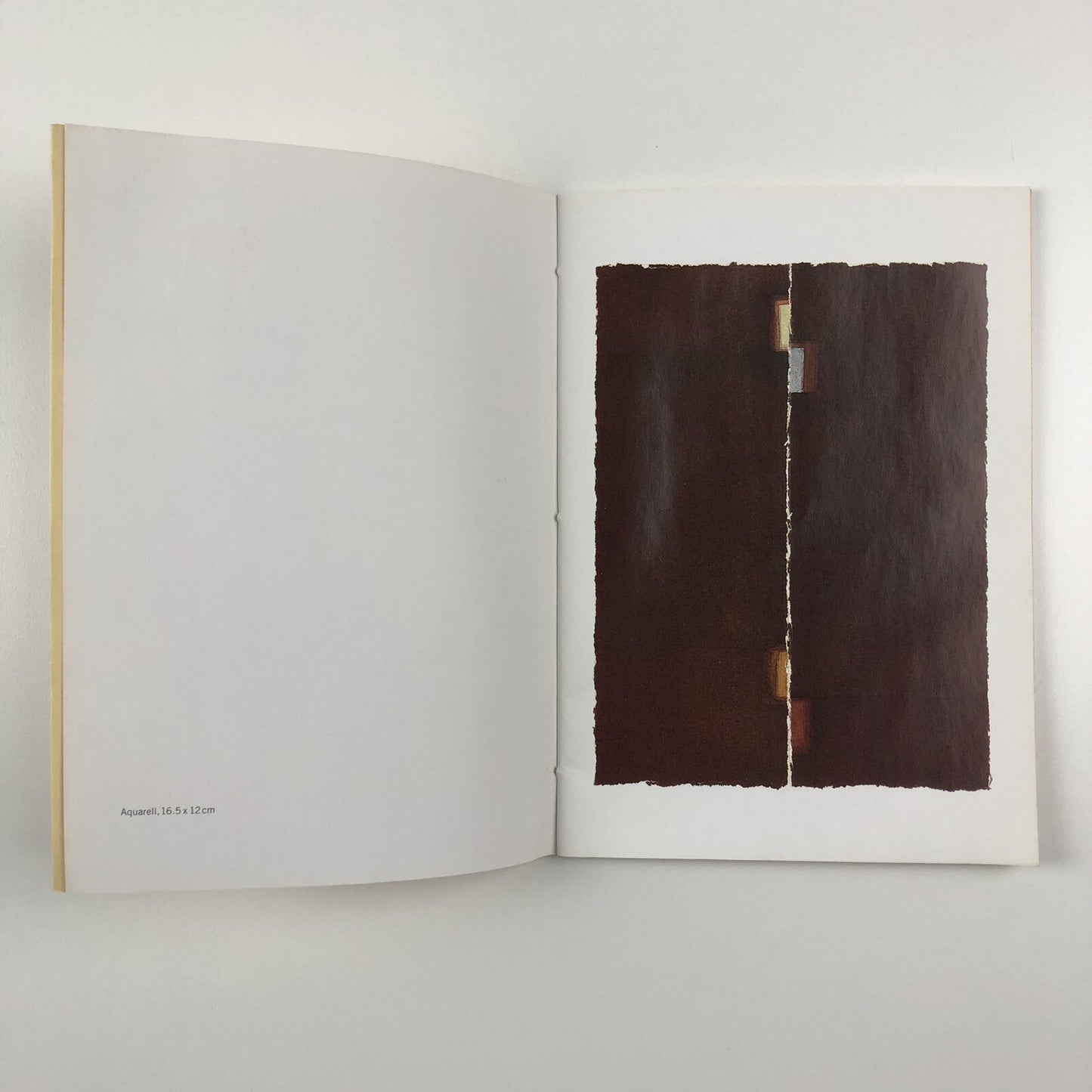 Libby Raynham. Sea-change | Susanna Rüegg galerie & poesie 2004 | Signed copy