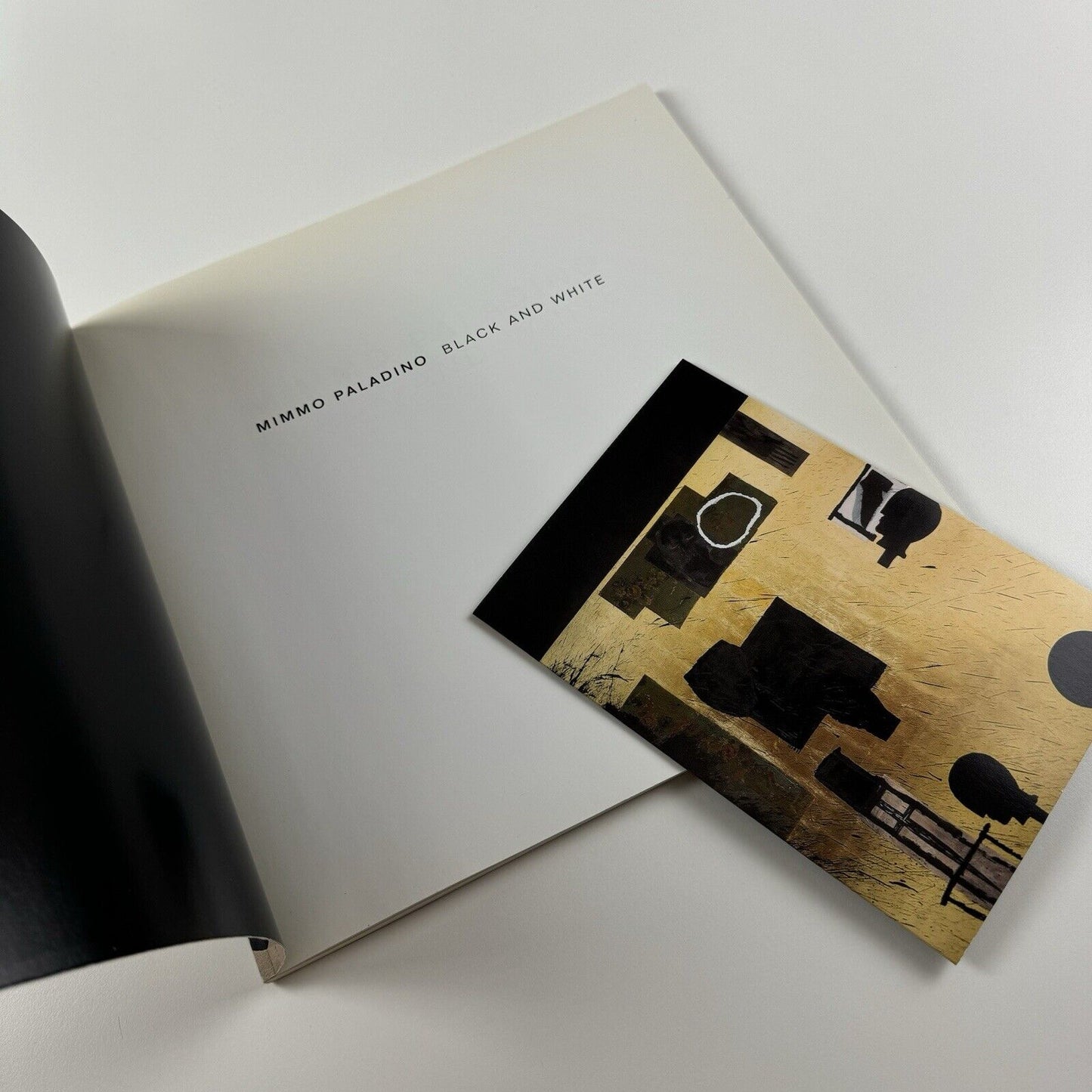 Mimmo Paladino. Black and White | Waddington Galleries, 2006