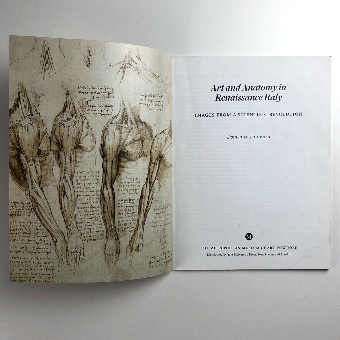 Art and Anatomy in Renaissance Italy by Domenico Laurenza | The Met, 2012