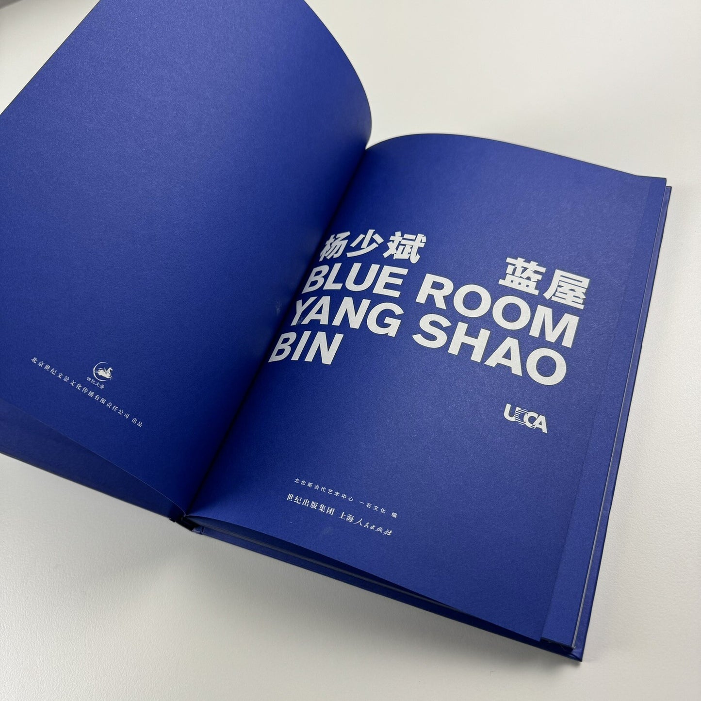 Blue Room. Yang Shao Bin | Ullens Center for Contemporary Art in Beijing, 2010 catalogue
